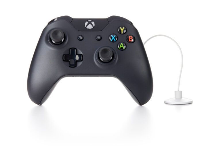 Controle do XBox protegido com Zips